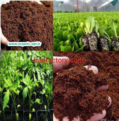 بستر نشاء  (کوکوپیت ایرانی)