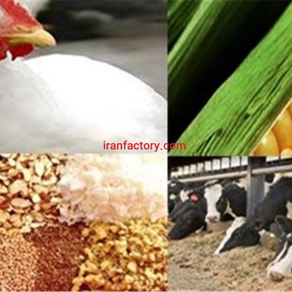 مشارکت و تولید خوراک دام و طیور