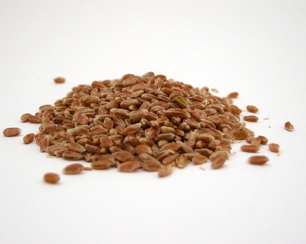 فروش انواع آرد صارداتی