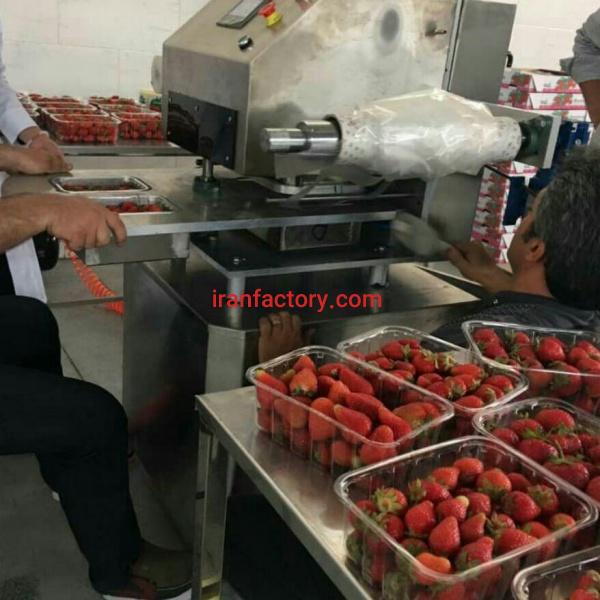 فروش خط سورتینگ میوه