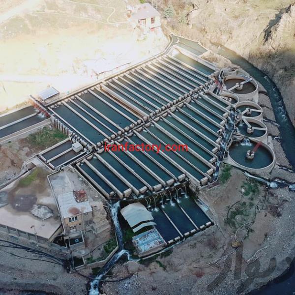 فروش پرورش ماهی در کرمانشاه