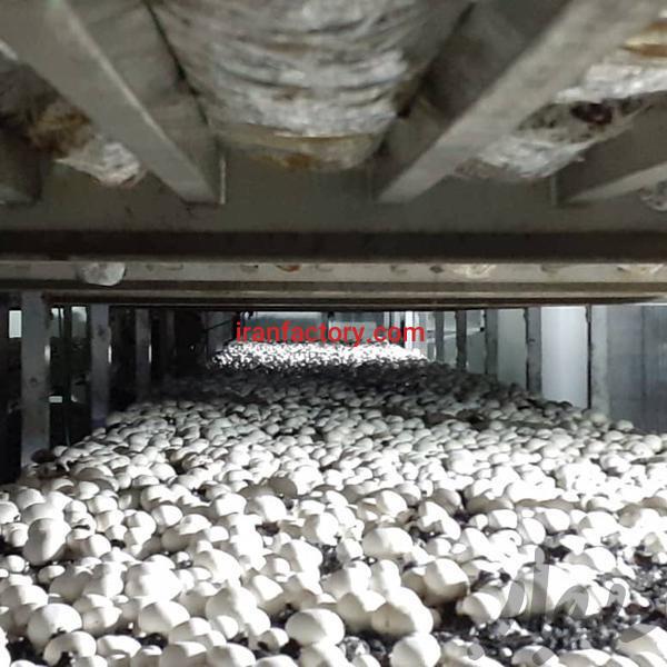 فروش کارخانه قارج در تهران