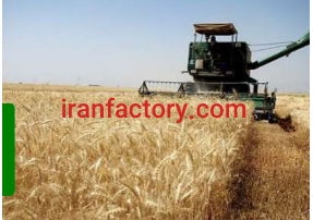 نیازمند سرمایه گذاربرای کشاورزی در هشترود