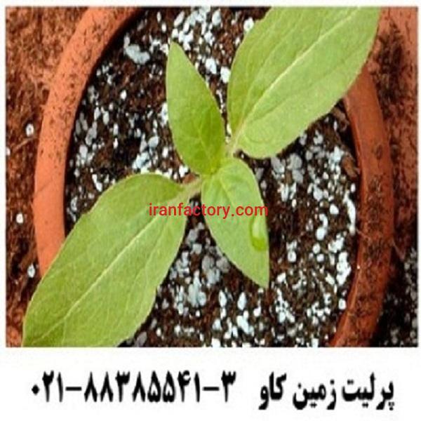مزیت های استفاده از پرلیت زمین کاو برای اصلاح خاک Perlite