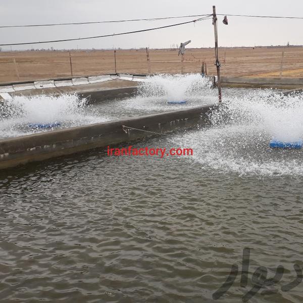 فروش استخر پرورش ماهی در ورزنه
