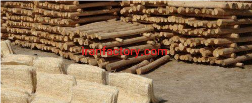 جذب سرمایه گذار در رفسنجان