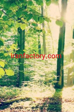 فروش 1350متر زمین در دماوند