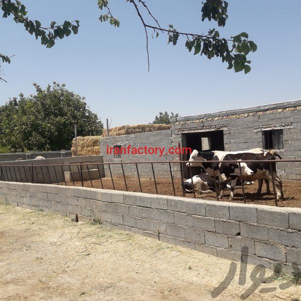 فروش دامداری وباغ در ارومیه