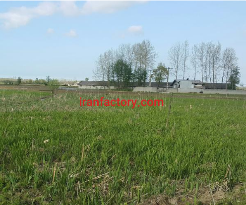 فروش 5600 متر زمین با مجوز تالار عروسی  در بندرانزلی