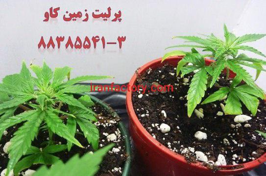 پرلیت کشاورزی و باغبانی Perlite