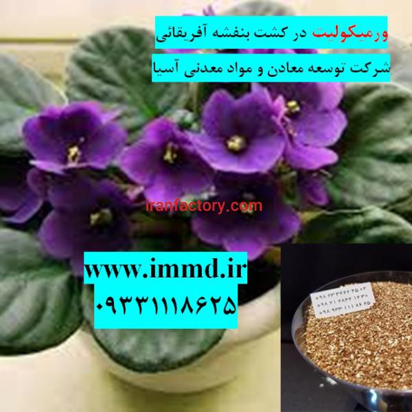 کود برای گل بنفشه آفریقایی