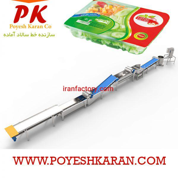 خط بسته بندی سالاد آماده