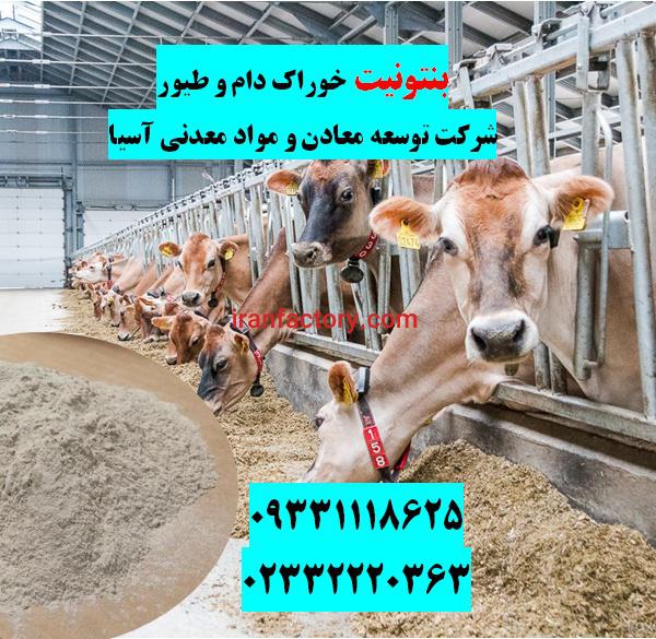 فروش بنتونیت ویژه خوراک دام و طیور در تهران