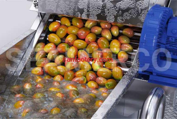 سازنده خط تولید ترشی انبه سیمرکو تهران