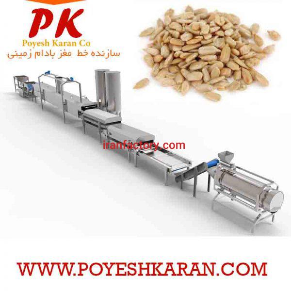 خط تولید و بسته بندی مغز تخمه و بادام زمینی