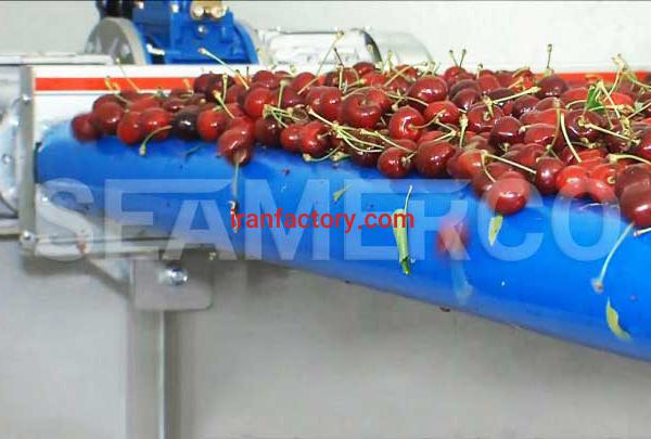 سازنده خط تولید کمپوت گیلاس سیمرکو تهران