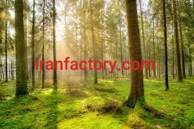 درج آگهی رایگان