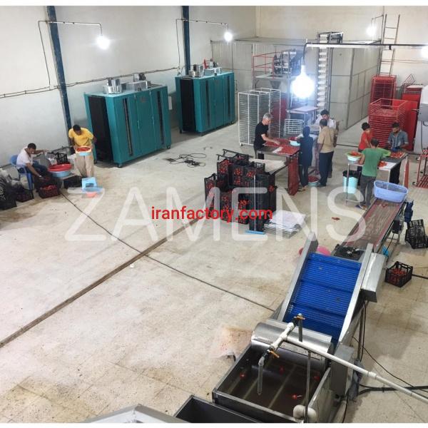 قیمت دستگاه خشک کن میوه و سبزیجات و جوانه گندم