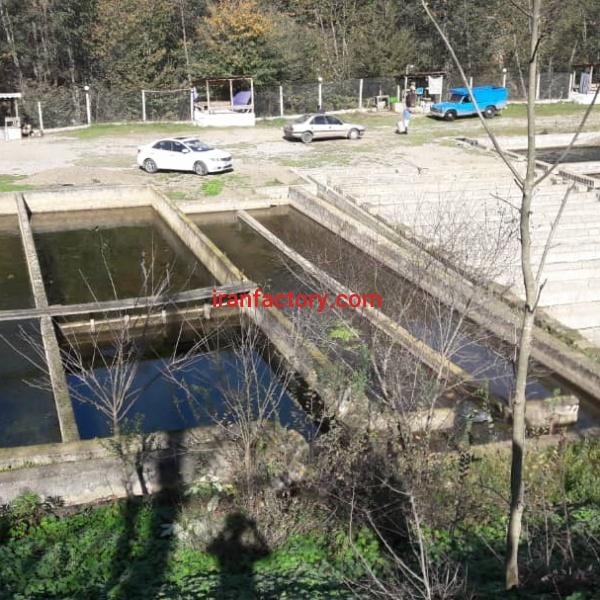 فروش پرورش ماهی سردآبی در گیلان