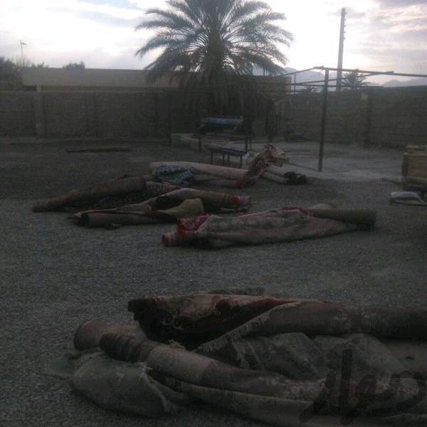 فروش کارگاه قالیشویی در زاهدان