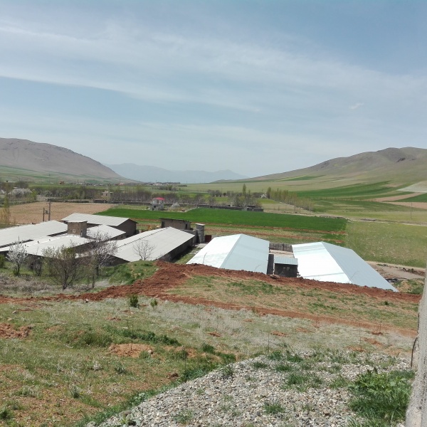 فروش مرغداری صنعتی 30000قطعه در کرمانشاه