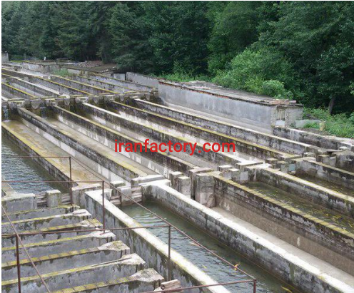 3000 متر استخر پرورش ماهی به همراه ویلا در ساری