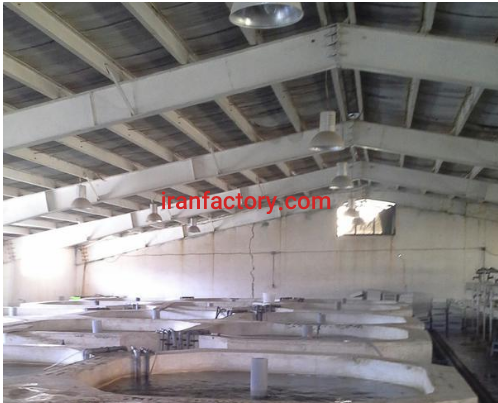 فروش مزرعه پرورش ماهی در ظالقان