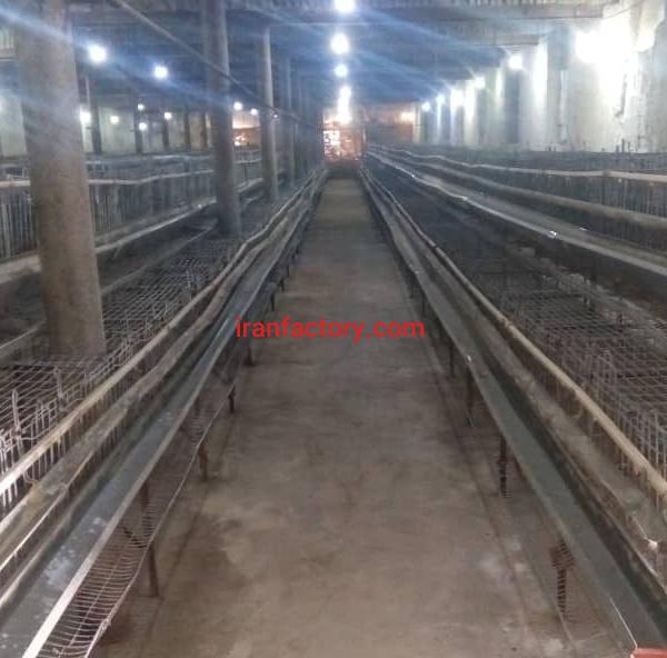 فروش مرغداری در اطراف تهران