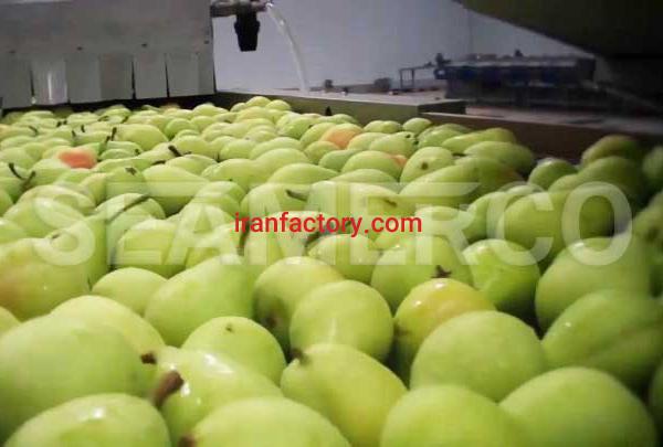 سازنده خط تولید کمپوت گلابی سیمرکو تهران