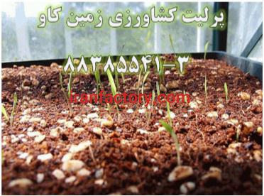 پرلیت و مزایای آن در کشاورزی Perlite