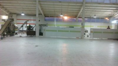 خرید کارخانه فعال بسته بندی و روغن کشی زیتون