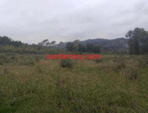 فروش 3 هکتار زمین برای پرورش ماهی و دام در املش