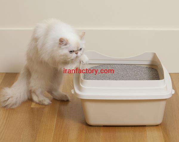 خاک بستر حیوانات