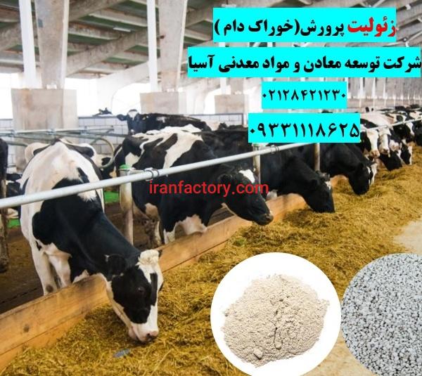 فروش زئولیت در خوراک دام و طیور
