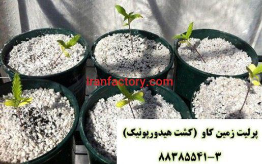 پرلیت و کشت هیدروپونیک perlite
