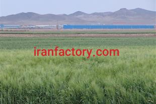 فروش زمین کشاورزی به همراه دامداری در گرمسار