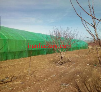 فروش 3000 متر گلخانه در الیگودرز