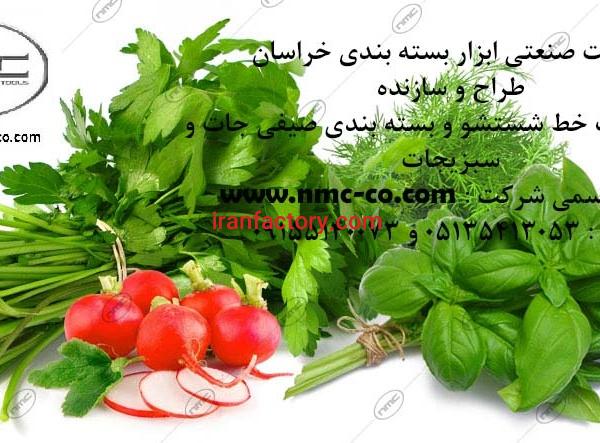 ماشین آلات خط شستشو اتوماتیک سبزیجات و صیفی جات