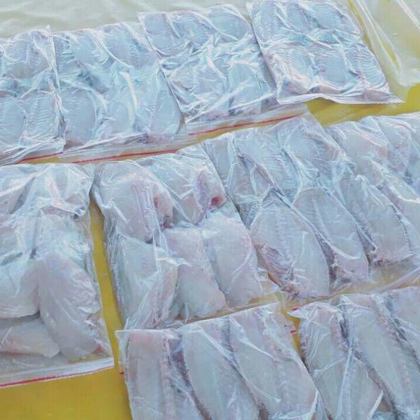 پخش عمده ماهی