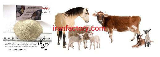 اثرات زئولیت در تغذیه نوشخوارکنندگان (Zeolite)