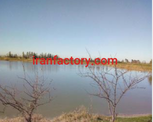 فروش 2 هکتار پرورش ماهی در بهشهر