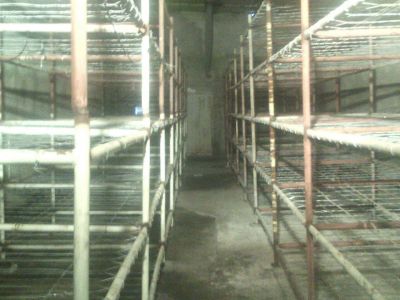 فروش کارخانه پرورش قارچ خوراکی در کرمانشاه