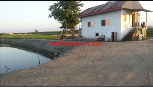 فروش ٤هکتار پرورش ماهی در بندر انزلی