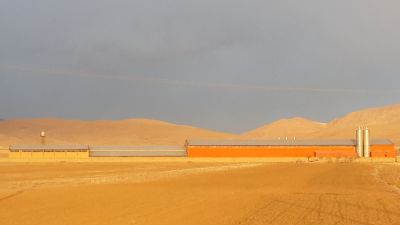 مشارکت و سرمایه گذاری در کارخانه ی نان صنعتی