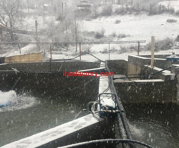 فروش استخر پرورش ماهی در تالش