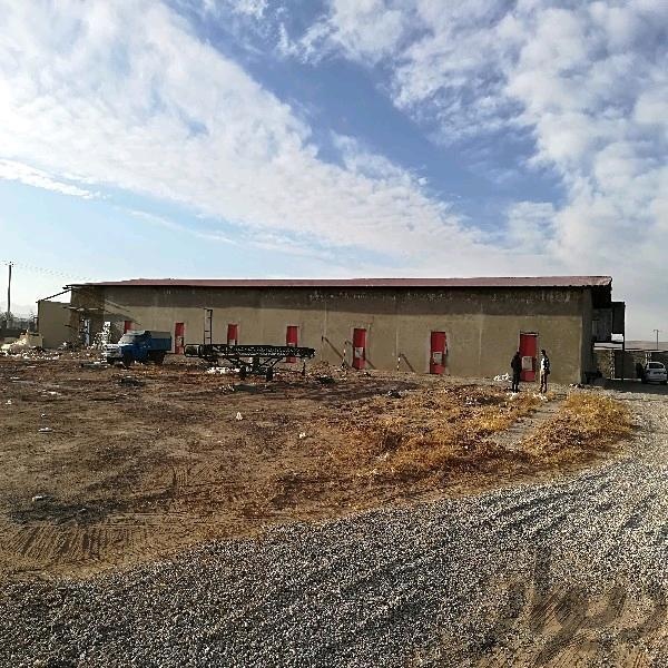 فروش کارخانه قارچ خوراکی در اراک