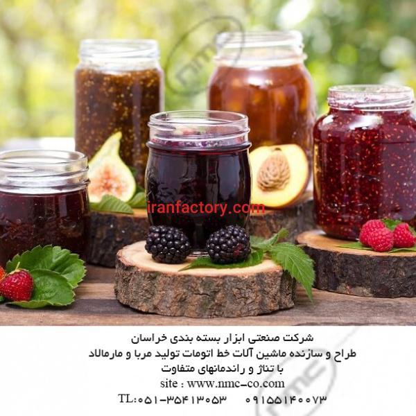 سازنده ماشین آلات خط تولید مربا , مارمالادو پوره میوه جات