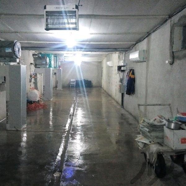 فروش مجهزترین کارخانه قارچ خوراکی در بوشهر
