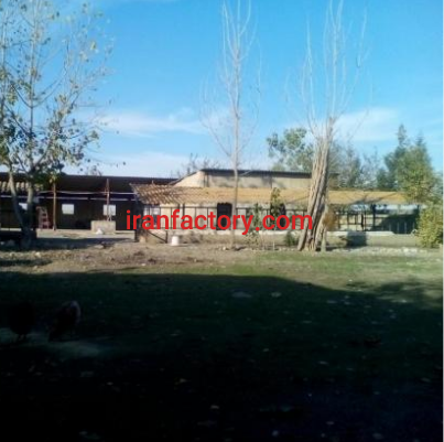 فروش یا اجاره 1000 متر دامداری در آق قلا