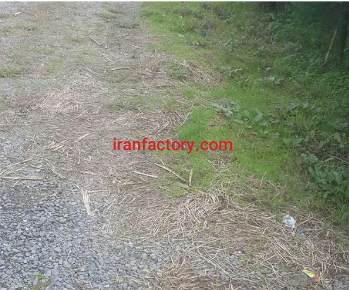 فروش 14500 متر گاوداری در رشت فروشی